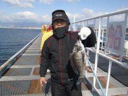 尼崎市立魚つり公園のズボ釣り、ベタ底で見事43cmのチヌ