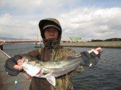 尼崎市立魚つり公園のズボ釣り、ベタ底で見事43cmのチヌ