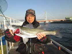 尼崎市魚つり公園　ウキ釣りでハネ＆チヌ☆