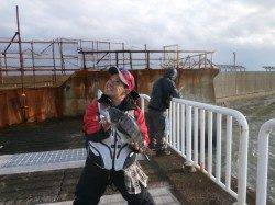 港海釣り公園で600gのタコ　ジグでの釣果です