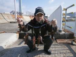 南港海釣り公園　探り釣りでガシラ15尾の釣…