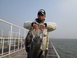 尼崎市魚つり公園　今日もハネ＆チヌの釣果あ…