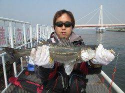 ズボ釣りで５４.５ｃｍのハネ、尼崎市魚つり公園