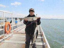 尼崎市魚つり公園　ハネ・セイゴ・チヌの釣果