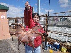 南港海釣り公園 タコジグでタコ1 8kg 他魚種は色々釣れました 大阪府 大阪南港海釣り公園 オクトパッシング タコ 陸っぱり 釣り 魚釣り 釣果情報サイト カンパリ