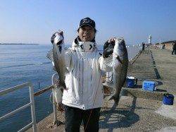 両手にハネ55cm! in 大阪南港魚つり園