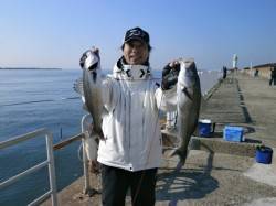 両手にハネ55cm！ in 大阪南港魚つり…