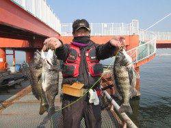 尼崎立魚つり公園、落とし込みでチヌ・ウキ釣りでハネ