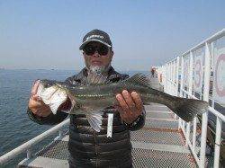 尼崎立魚つり公園、落とし込みでチヌ・ウキ釣りでハネ