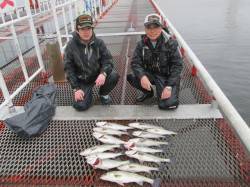 尼崎でエビ撒きハネ朝〜昼までほぼ入れ食い状…