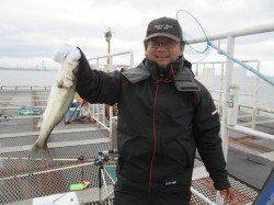 尼崎市立魚つり公園、エビ撒きズボ釣りでハネ