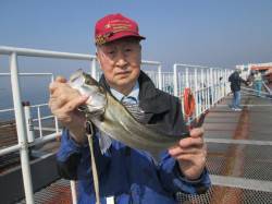 尼崎市立魚つり公園、良い天気も釣果は渋かっ…