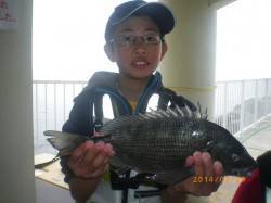 姫路市立遊魚センター　オキアミでチヌの釣果…