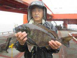 尼崎市立魚つり公園、良型のチヌ2枚！！