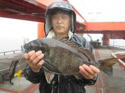 尼崎市立魚つり公園、良型のチヌ2枚！！