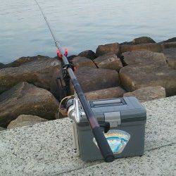 南甲子園浜、エビ撒き釣りでキビレとハネ　活性は高かった