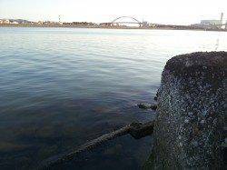 紀ノ川へフカセ釣りに行ってきました