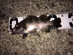 大蔵海岸、大型メバル狙いで沖目へフルキャス…