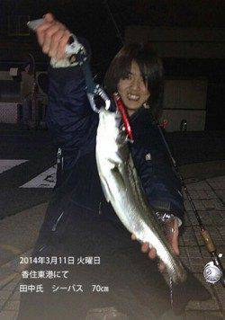 ルアーでシーバス70cm 香住東港にて