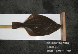 円山川河口にて石カレイ45㎝！！