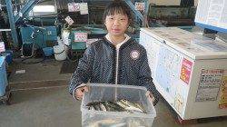 芳養堤防にてサビキ釣り「いっぱい釣れて面白かった♪」