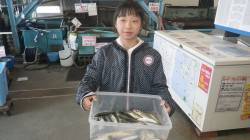 芳養堤防にてサビキ釣り「いっぱい釣れて面白…