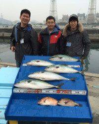 マリーナシティ海洋釣り堀、メジロが大漁です♪