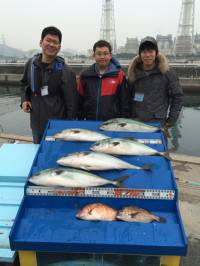 マリーナシティ海洋釣り堀、メジロが大漁です♪