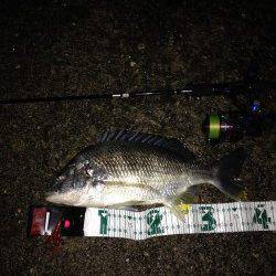 港の入り口付近を狙ってキビレGET☆