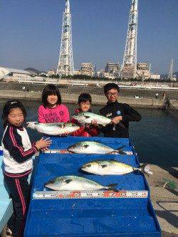 マリーナシティ海洋釣り堀　カツオをエサにメジロ好釣果