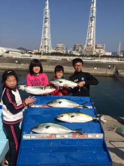 マリーナシティ海洋釣り堀　カツオをエサにメ…