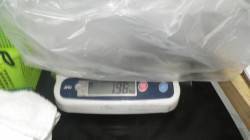 市江にてアオリイカ2kgUPまであと20g…