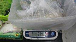 すさみ堤防にてヤエン釣り　すさみ堤防で