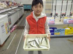 田辺芳養堤防サビキアジでファミリーフィッシ…