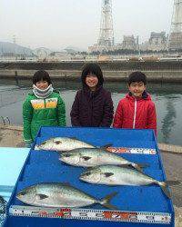 マリーナシティ海洋釣り堀、メジロが大漁です♪