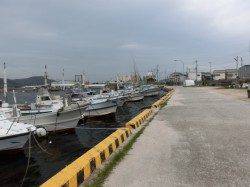 福良港へメバリング遠征〜メバル・ソイの釣果