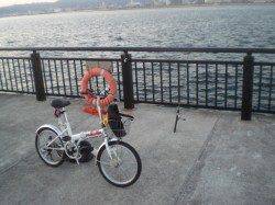 エッグチェーンでボトムをポンピング 神戸空港でガシラ