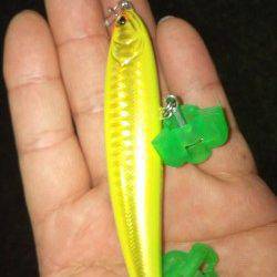 貝塚でシーバス、フローティング超スロー巻きでヒット!