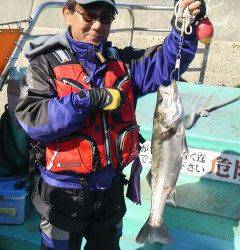 快釣！渡船を使ってのエビ撒き釣果