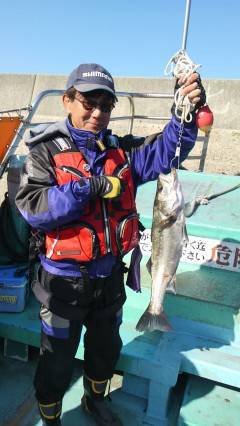 快釣！渡船を使ってのエビ撒き釣果