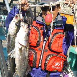 【23日】岸和田一文字のハネ釣況