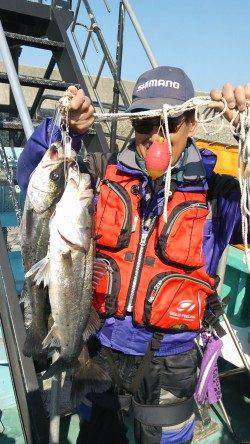 【23日】岸和田一文字のハネ釣況