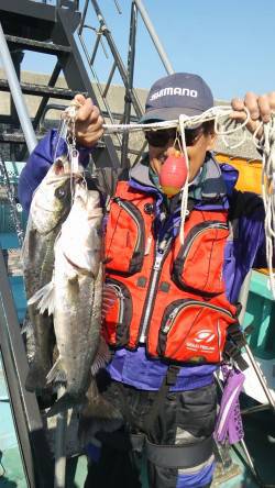 【23日】岸和田一文字のハネ釣況