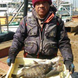 中波止の3番でチヌ&ハネ