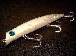 貝塚周辺でのシーバス釣果