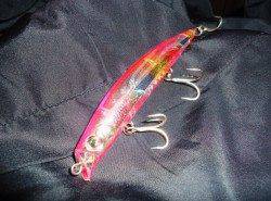 貝塚でアフターシーバス〜まだ回復途中