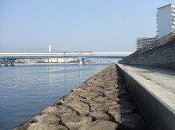 西宮浜５２㎝のハネサイズだったが今年はじめてのゲット