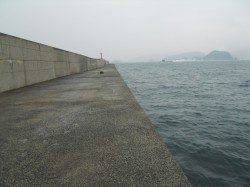 神谷沖一文字へ釣行、アオリからカワハギ狙い