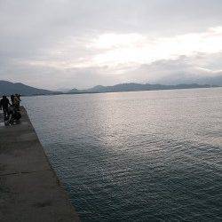 田ノ浦漁港でエギング、堤防の先端でコウイカヒット！