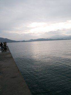 田ノ浦漁港でエギング、堤防の先端でコウイカヒット！